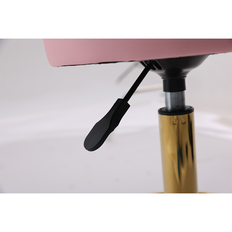 Pink Gold Lightweight Technici - Office Technician review and price
